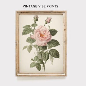Roses Oil Painting: Vintage Botanical Art Print (Digital Download)
