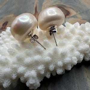 May include: A pair of white pearl earrings with silver posts. The pearls are round and have a smooth, glossy finish.