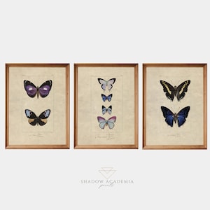 May include: Three framed butterfly prints. Each print features a different arrangement of butterfly illustrations in shades of purple, blue, and yellow. The frames are a warm brown color, and the background is a cream color.