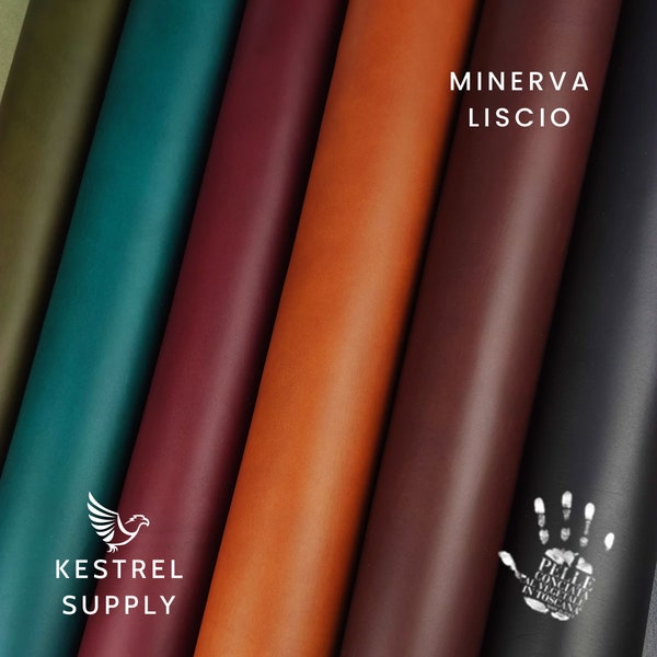 Paneles Badalassi Carlo Minerva Liscio de 1 a 2 pies cuadrados - Cuero para proyectos de cuero