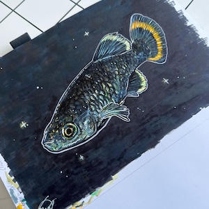 Puede incluir: Una ilustración detallada de un pez de escamas oscuras con reflejos iridiscentes y una cola con punta amarilla, sobre un fondo negro profundo lleno de pequeñas estrellas blancas. La obra presenta un contorno blanco alrededor del pez y una firma.