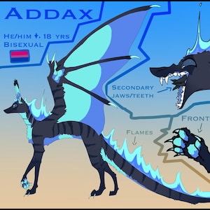 Foglio di riferimento OC/fursona personalizzato