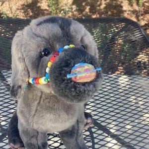 Southwestern themed Essa muzzle