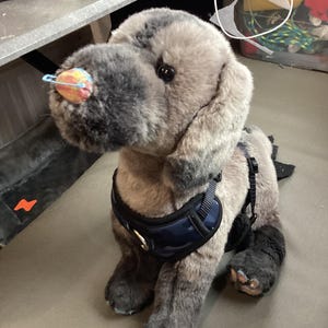 Blue camo Essa harness