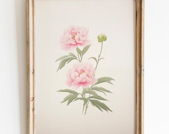 Peony Printable Wall Art, Spring Flower Printable, Vintage Style Watercolor Print, Valentine's Day Art, Easter Decor, Girls Nursery