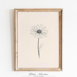 continuous line drawing daisy