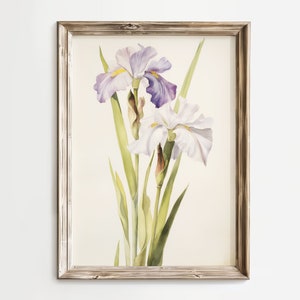 Puede incluir: Una pintura de acuarela enmarcada de dos iris blancos y morados con hojas verdes. La pintura está en un marco marrón claro.