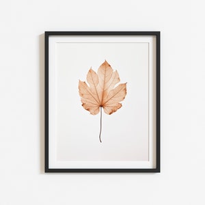 May include: A framed print featuring a single, detailed leaf in shades of tan and brown. The leaf is centered on a white background, encased in a black frame. The artwork evokes a sense of nature and botanical themes.