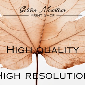 May include: A sepia-toned image of a large leaf with prominent veins. The text "Golden Mountain PRINT SHOP" is at the top, with "HIGH QUALITY" and "HIGH RESOLUTION" below. The leaf is centered, with a white background.