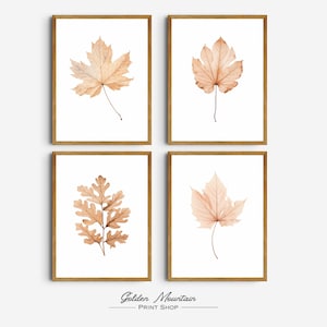 Op de afbeelding: Vier ingelijste kunstafdrukken met aquarel illustraties van herfstbladeren in tinten van bruin en perzik. Elke afdruk is geplaatst tegen een witte achtergrond en ingelijst in een goudkleurige houten lijst. De prints zijn van Golden Mountain Print Shop.