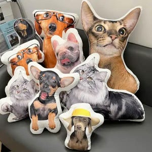 Personalized Pet Shaped Pillows, 3D Photo Pillow, Pet Lover Gift,Dog Pillow, Pet Portrait Pillow, Pet Pet Gift, Dog Gift, Cat Gift