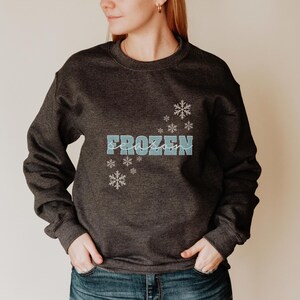 May include: A dark gray sweatshirt with the word "FROZEN" in blue lettering and a scattering of white snowflake designs.