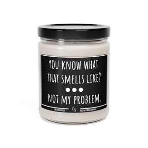 Sarcastic Candle, Funny Candle Gift, Candles With Sayings, You Know What That Smells Like Not My Problem, candle gifts, Gift For Her Him image 5