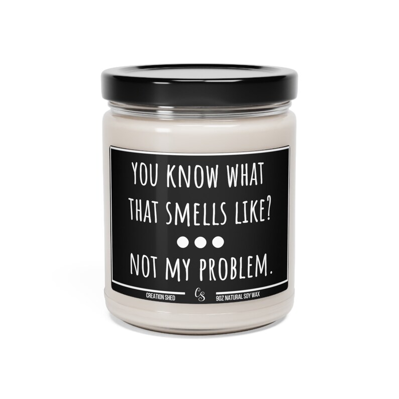 Sarcastic Candle, Funny Candle Gift, Candles With Sayings, You Know What That Smells Like Not My Problem, candle gifts, Gift For Her Him image 5