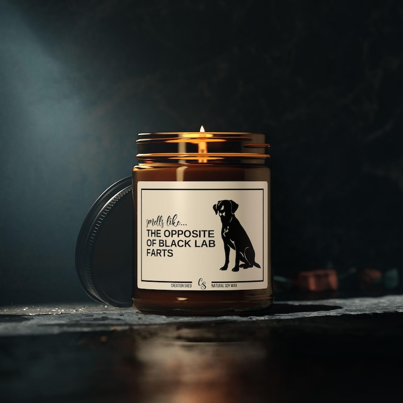 Black Lab Gifts, Black Labrador Gift, Black Lab Candle, Black Lab Mom, Black Lab Owner, Labrador Christmas Gift, Funny Candle Gift,Lab Farts image 2