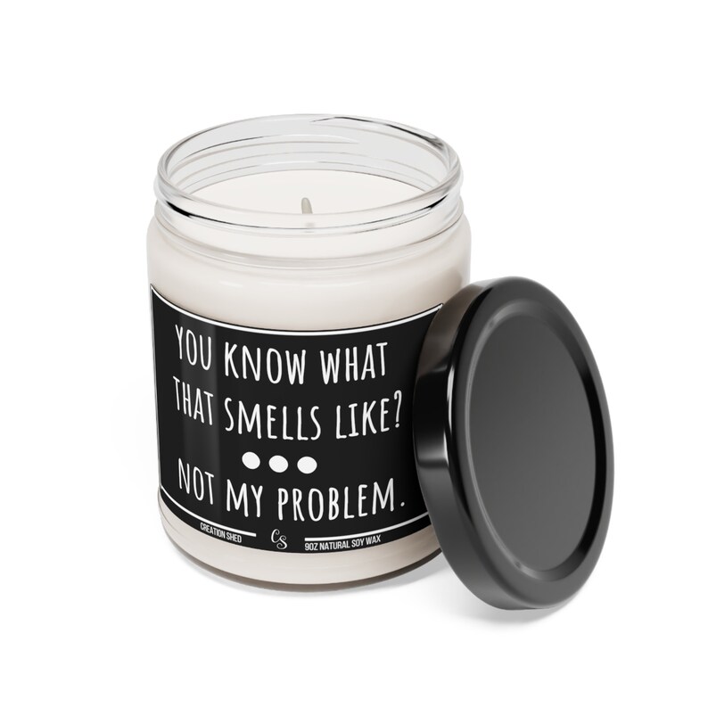 Sarcastic Candle, Funny Candle Gift, Candles With Sayings, You Know What That Smells Like Not My Problem, candle gifts, Gift For Her Him image 9