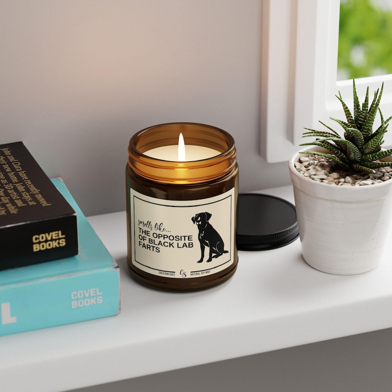 Black Lab Gifts, Black Labrador Gift, Black Lab Candle, Black Lab Mom, Black Lab Owner, Labrador Christmas Gift, Funny Candle Gift,Lab Farts image 3