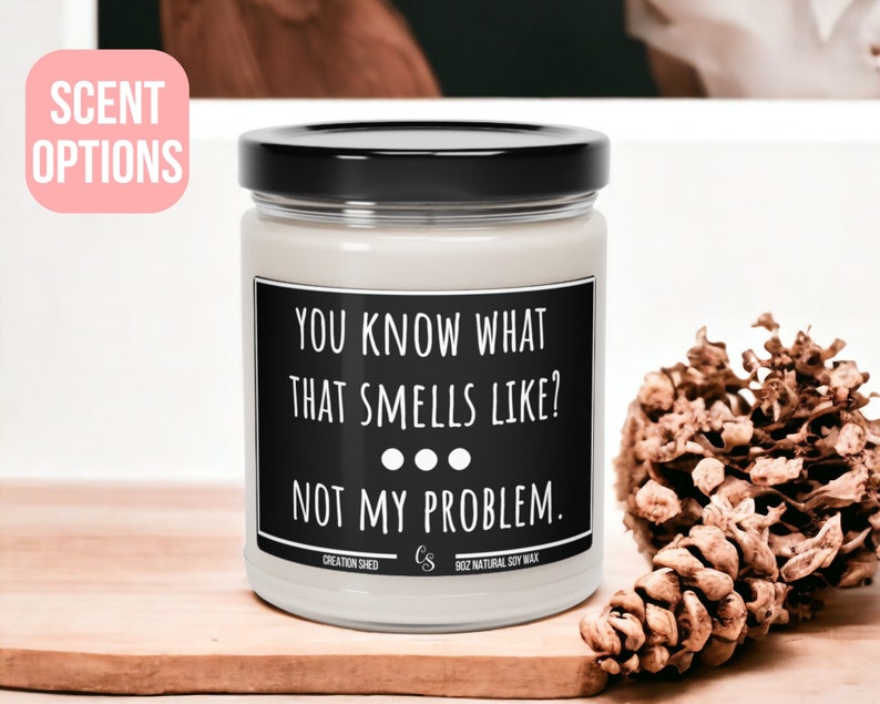 May include: A white candle with a black label that reads "You know what that smells like? ... Not my problem." The candle is on a wooden surface with a pine cone next to it.