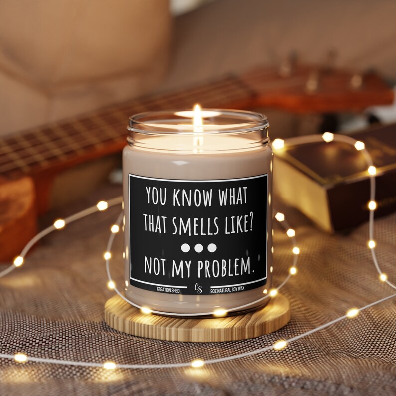Sarcastic Candle, Funny Candle Gift, Candles With Sayings, You Know What That Smells Like Not My Problem, candle gifts, Gift For Her Him image 7