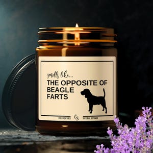 Könnte beinhalten: Ein braunes Glas-Kerzenglas mit goldenem Deckel und weißem Etikett. Auf dem Etikett steht "smells like... THE OPPOSITE OF BEAGLE FARTS" mit einer Beagle-Silhouette. Die Kerze ist angezündet, und der Hintergrund ist dunkel.