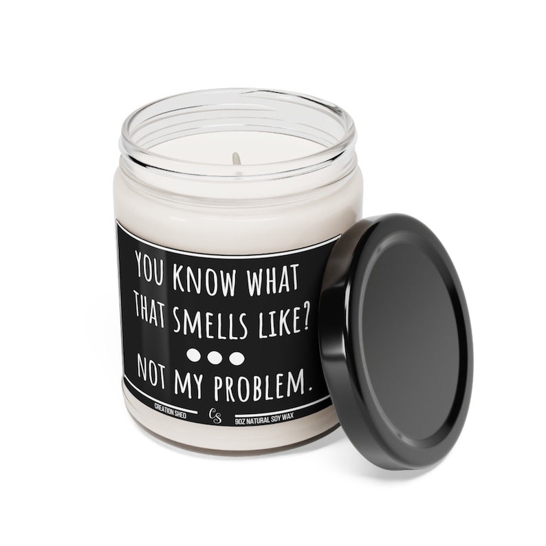 Sarcastic Candle, Funny Candle Gift, Candles With Sayings, You Know What That Smells Like Not My Problem, candle gifts, Gift For Her Him image 6