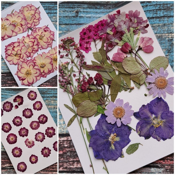 pressed, dried flowers for your projects, for synthetic resin, epoxy resin, resin, UV resin, roses