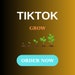 see more listings in the Tiktok Growth section