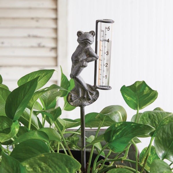 Frog Rain Gauge - Set of 2