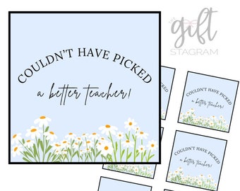 Couldn't Have Picked A Better Teacher Gift Tag | DIGITAL DOWNLOAD |  Teacher Appreciation Gift Ideas | End Of School Year Teacher Gift Ideas