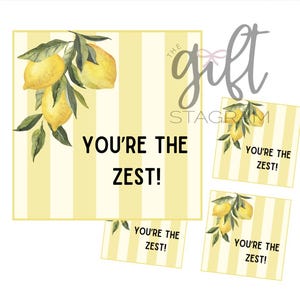 Etichetta regalo "Sei la gioia" / DOWNLOAD DIGITALE / Etichetta regalo di ringraziamento / Idee regalo di ringraziamento / Etichette regalo con download digitale / Etichetta stampabile 3x3"