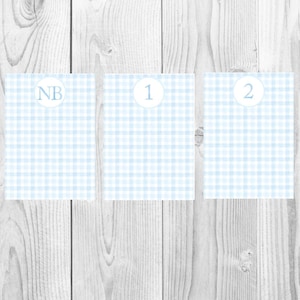 Meilenstein-Fotobanner | Blau Vichykaro | Monatliches Meilenstein-Banner | Erster Geburtstag | Junge | Digital | Druckbar | Preppy | Party Dekor