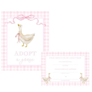 Bordje One Silly Goose Adopt A Goose | Aquarel | Verjaardagsthema voor meisjes | Roze | Grandmillennial | Preppy