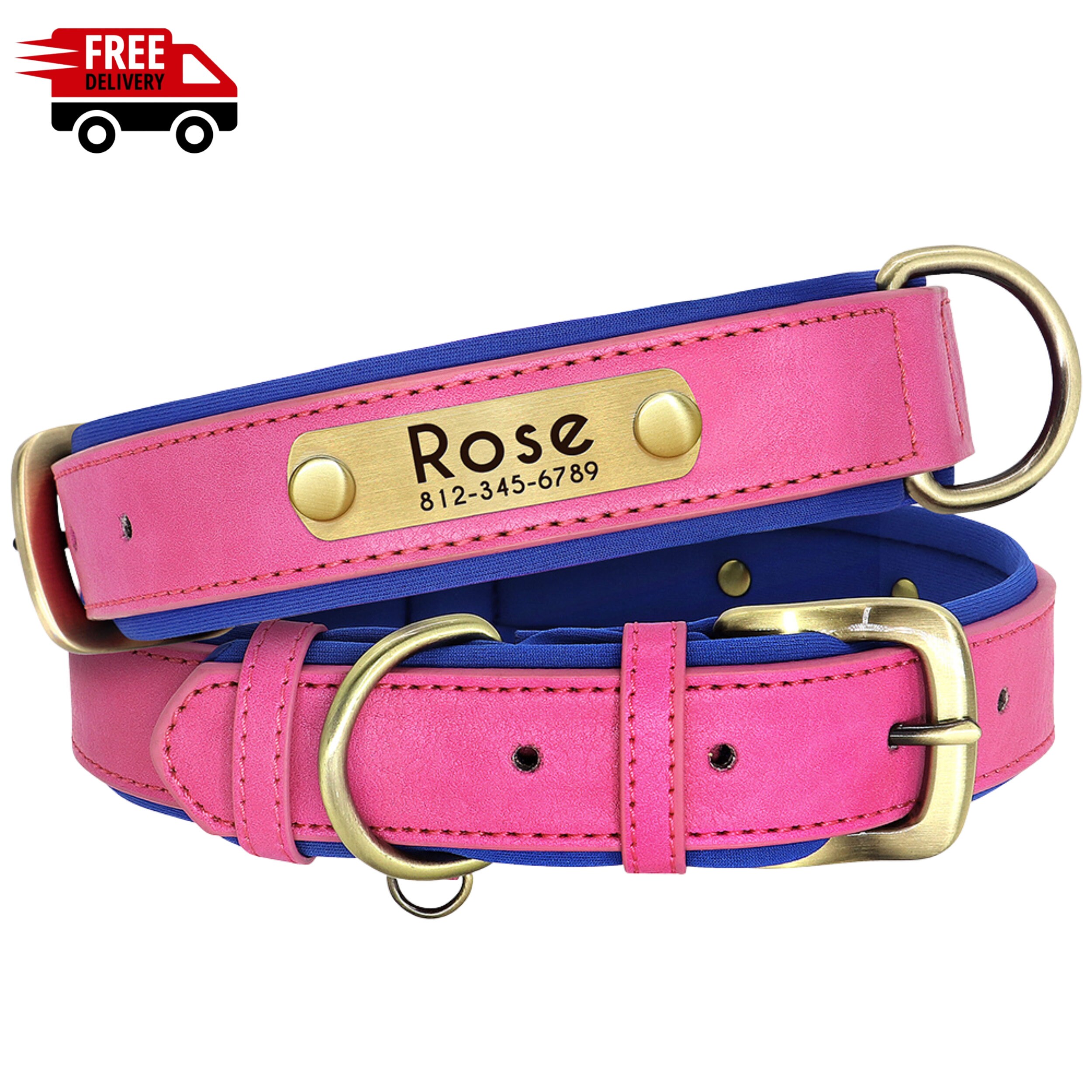 Personalized Dog Collar Soft Padded Leather Pet ID Name Tag