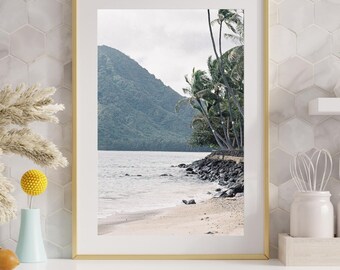 Tropical Coastline with Palm Trees Film Photograph