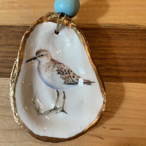Könnte beinhalten: Dekorative Austernschale mit einem gemalten Vogelmotiv. Die Schale hat einen goldfarbenen Rand und wird von einer Schnur mit blauen und goldenen Perlen gehalten. Der Vogel ist braun, weiß und grau.