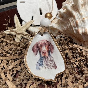 Puede incluir: Un adorno de concha de ostra blanca con borde dorado, que presenta una imagen pintada de un perro Braco Alemán de Pelo Corto marrón y blanco.