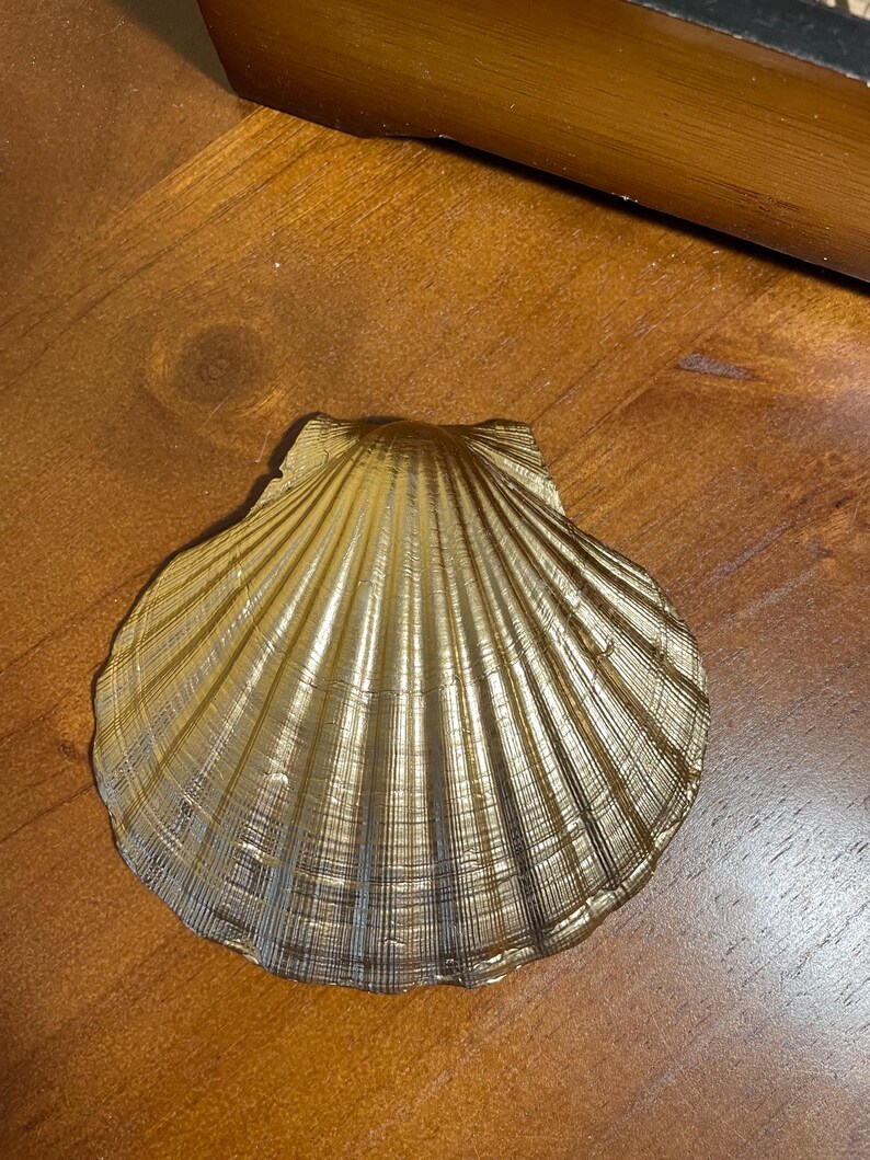 Camellia Clam Shell Ring Dish - Etsy