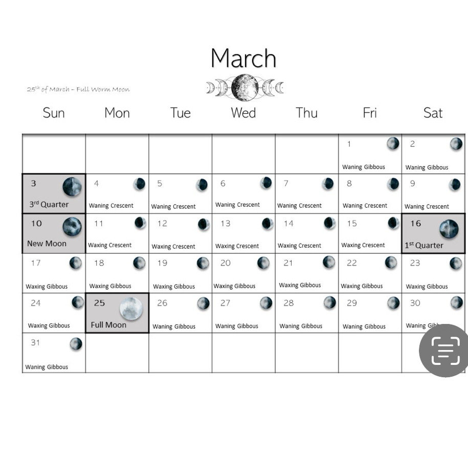 Celestial Harmony 2024: Lunar Calendar Across Hemispheres Etsy