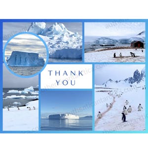 Authentic Antarctica: Large Inspirational Card (7.1 x 5.5 in) -- Thank You