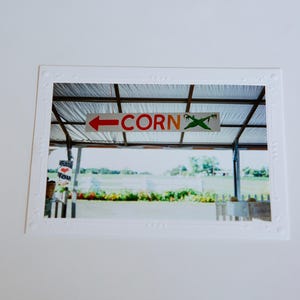 Cartão de filme brilhante de 35 mm | NJ Farm Stand | Cartões comemorativos em branco feitos à mão | Arte de Jessica Pomerantz | Perfeito para qualquer ocasião!