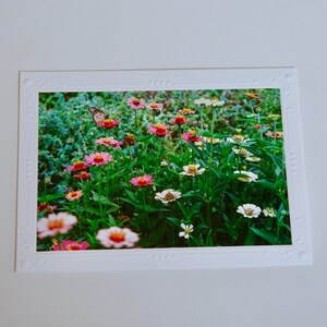 Cartão de filme brilhante de 35 mm | Flores | Cartões comemorativos em branco feitos à mão | Arte de Jessica Pomerantz | Perfeito para qualquer ocasião!