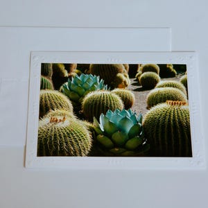 Cartão de filme brilhante de 35 mm | Huntington Gardens | Cartões comemorativos em branco feitos à mão | Arte de Jessica Pomerantz | Perfeito para qualquer ocasião!