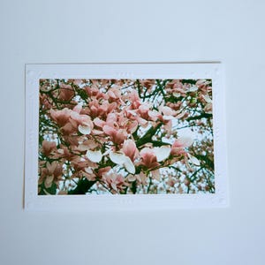 Cartão de filme brilhante de 35 mm | Flores | Cartões comemorativos em branco feitos à mão | Arte de Jessica Pomerantz | Perfeito para qualquer ocasião!