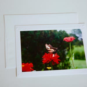 Cartão de filme brilhante de 35 mm | Flores | Cartões comemorativos em branco feitos à mão | Arte de Jessica Pomerantz | Perfeito para qualquer ocasião!