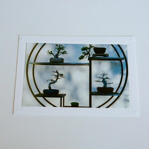 Cartão de filme brilhante de 35 mm | Huntington Gardens | Cartões comemorativos em branco feitos à mão | Arte de Jessica Pomerantz | Perfeito para qualquer ocasião!