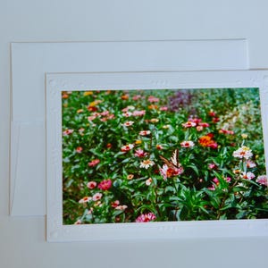 Cartão de filme brilhante de 35 mm | Flores | Cartões comemorativos em branco feitos à mão | Arte de Jessica Pomerantz | Perfeito para qualquer ocasião!
