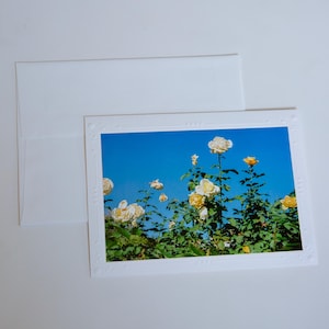 Cartão de filme brilhante de 35 mm | Flores | Cartões comemorativos em branco feitos à mão | Arte de Jessica Pomerantz | Perfeito para qualquer ocasião!