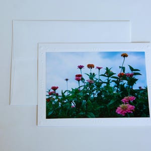 Cartão de filme brilhante de 35 mm | Flores | Cartões comemorativos em branco feitos à mão | Arte de Jessica Pomerantz | Perfeito para qualquer ocasião!