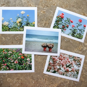 Conjunto de 5 cartões de filme brilhante de 35 mm | Flores | Cartões comemorativos em branco feitos à mão | Arte de Jessica Pomerantz | Perfeito para qualquer ocasião!