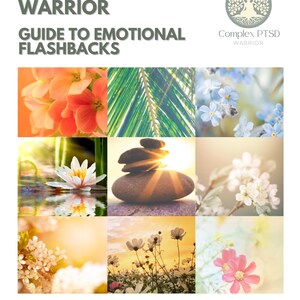 Guide to Emotional Flashbacks
